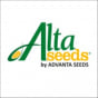 ALTA SEEDS
